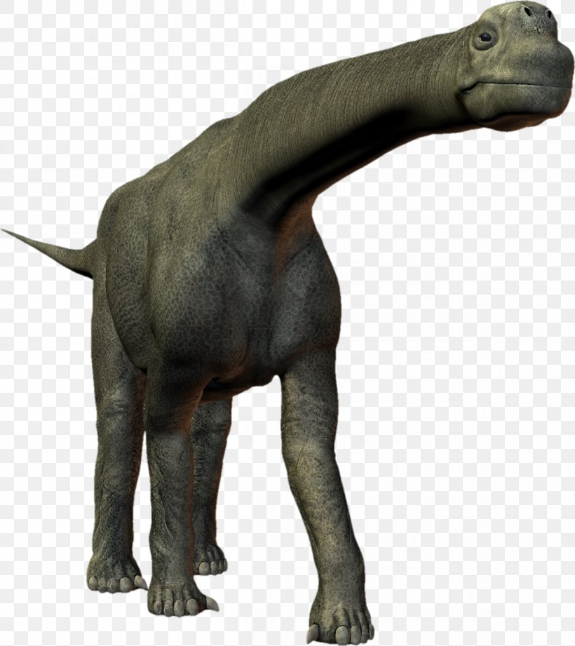 Tyrannosaurus Camarasaurus Reptile Dinosaur Sauropoda, PNG, 1200x1349px, Tyrannosaurus, Animal, Camarasauridae, Camarasaurus, Dinosaur Download Free