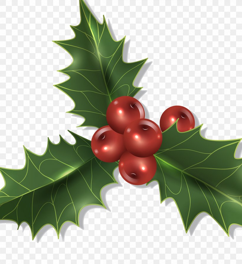 Christmas Decoration Holly, PNG, 1200x1310px, Plant, Aquifoliaceae, Aquifoliales, Berry, Christmas Download Free