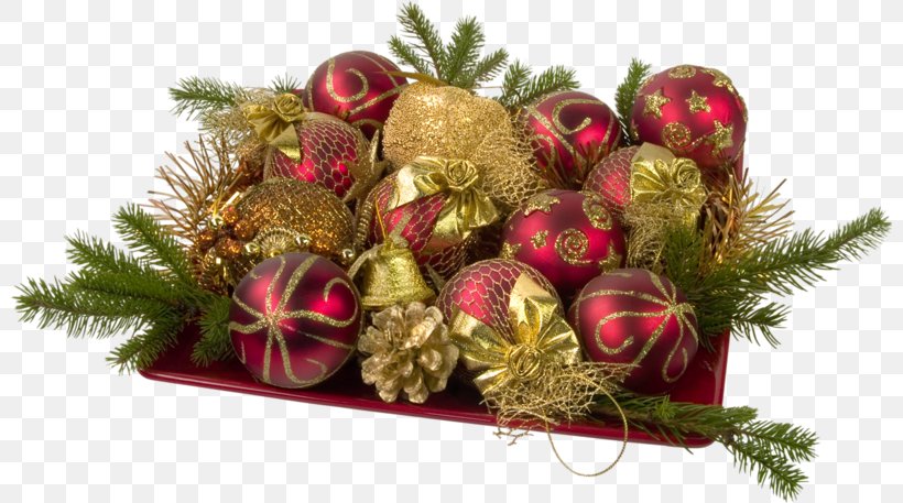 Christmas Ornament Russia New Year Tree Christmas Tree, PNG, 800x457px, Christmas Ornament, Christmas, Christmas Decoration, Christmas Tree, Decor Download Free