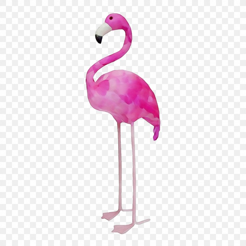 Flamingo, PNG, 1024x1024px, Watercolor, Beak, Bird, Flamingo, Greater Flamingo Download Free