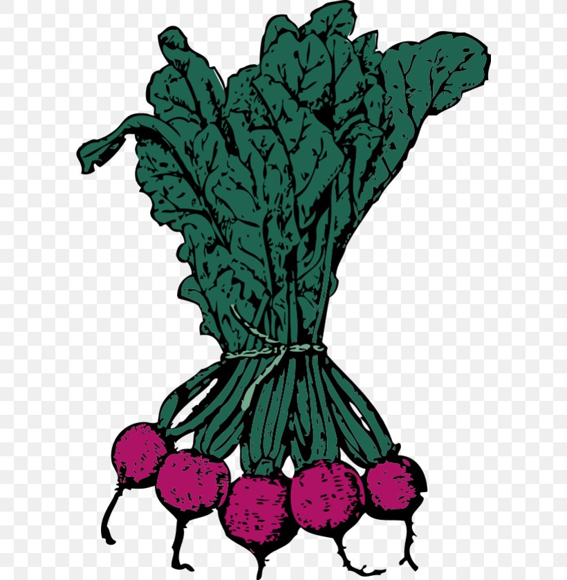 Sugar Beet Beetroot Clip Art, PNG, 600x839px, Sugar Beet, Art, Beetroot, Common Beet, Fictional Character Download Free