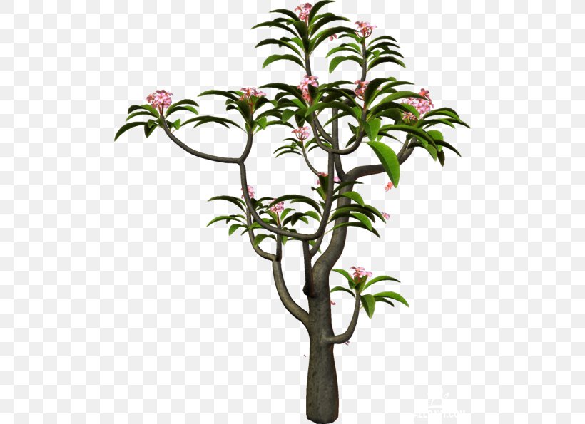 Branch Tree Shrub Information, PNG, 500x595px, Branch, Copper, Cut Flowers, Flower, Flowering Plant Download Free