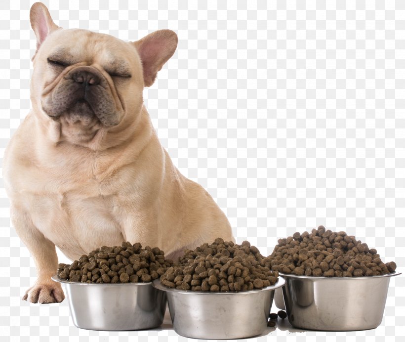 Croquette French Bulldog Puppy Dog Food Avoidant/restrictive Food Intake Disorder, PNG, 1438x1215px, Croquette, Bowl, Bulldog, Carnivoran, Companion Dog Download Free