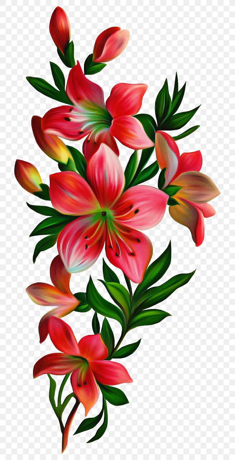Flower Flowering Plant Petal Lily Plant, PNG, 764x1600px, Flower, Cut Flowers, Flowering Plant, Lily, Petal Download Free