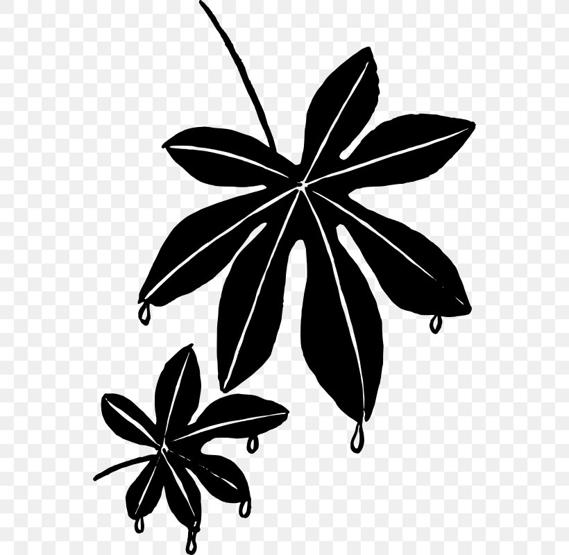Leaf Clip Art, PNG, 552x800px, Leaf, Black And White, Branch, Butterfly, Button Download Free