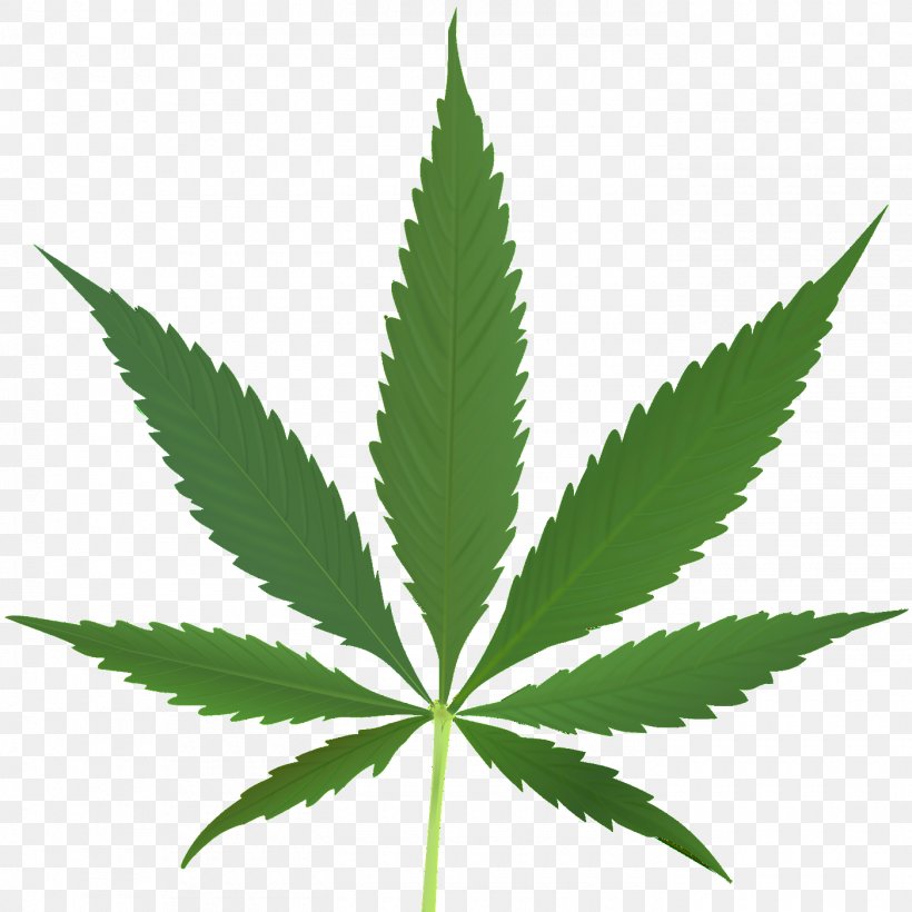 Medical Cannabis Leaf Tetrahydrocannabinol Cannabis Sativa, PNG, 1400x1400px, Cannabis, Cannabinoid, Cannabis Sativa, Cannabis Smoking, Drug Download Free