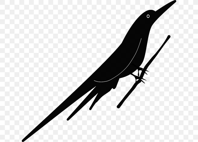 Bird Beak Clip Art, PNG, 640x590px, Bird, Animal, Beak, Black And White, Drawing Download Free