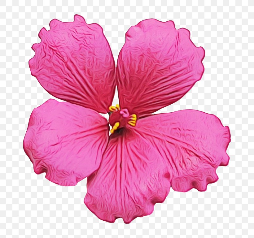Flowering Plant Petal Flower Pink Hawaiian Hibiscus, PNG, 767x769px, Watercolor, Chinese Hibiscus, Flower, Flowering Plant, Hawaiian Hibiscus Download Free