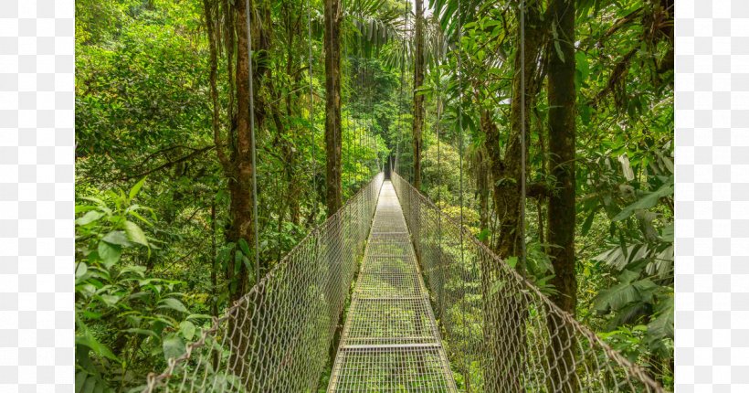 Arenal Volcano Stock Photography Costa Rica Vacations Travel Royalty-free, PNG, 1200x630px, Arenal Volcano, Biome, Canopy Walkway, Child, Costa Rica Download Free