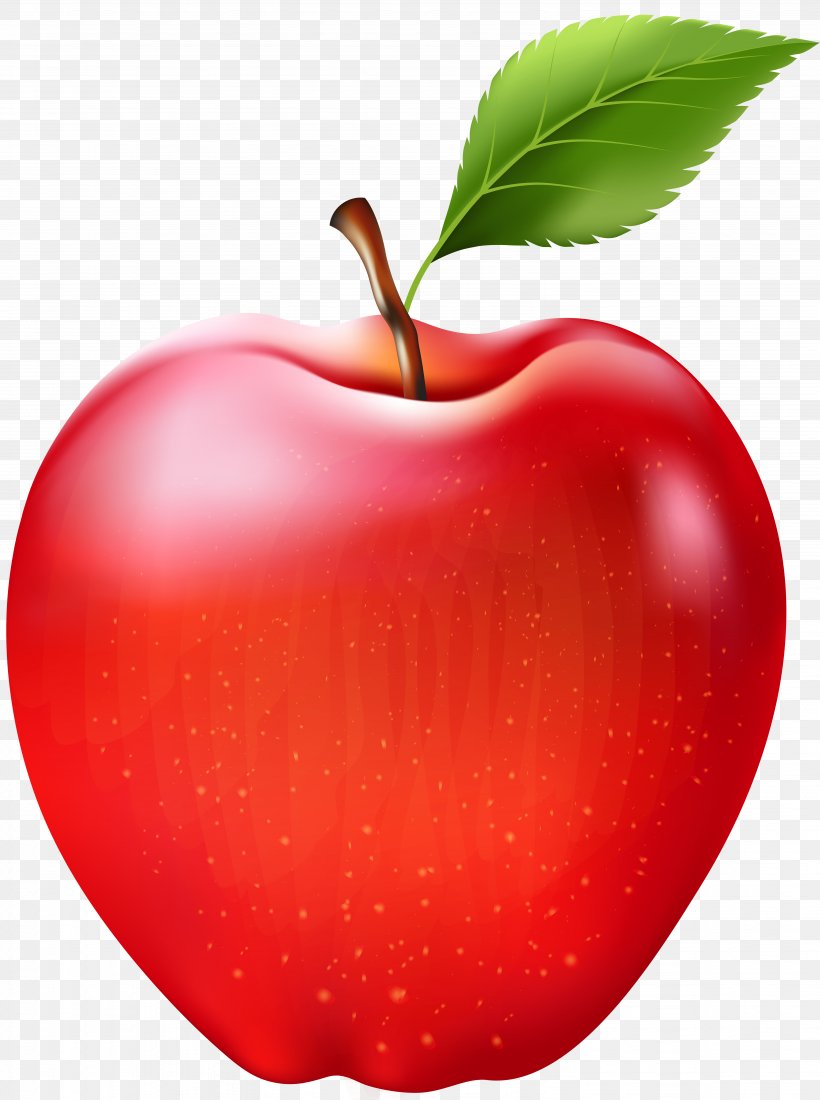 Clip Art Openclipart Image Transparency, PNG, 5961x8000px, Apple, Accessory Fruit, Acerola, Art, Cherry Download Free