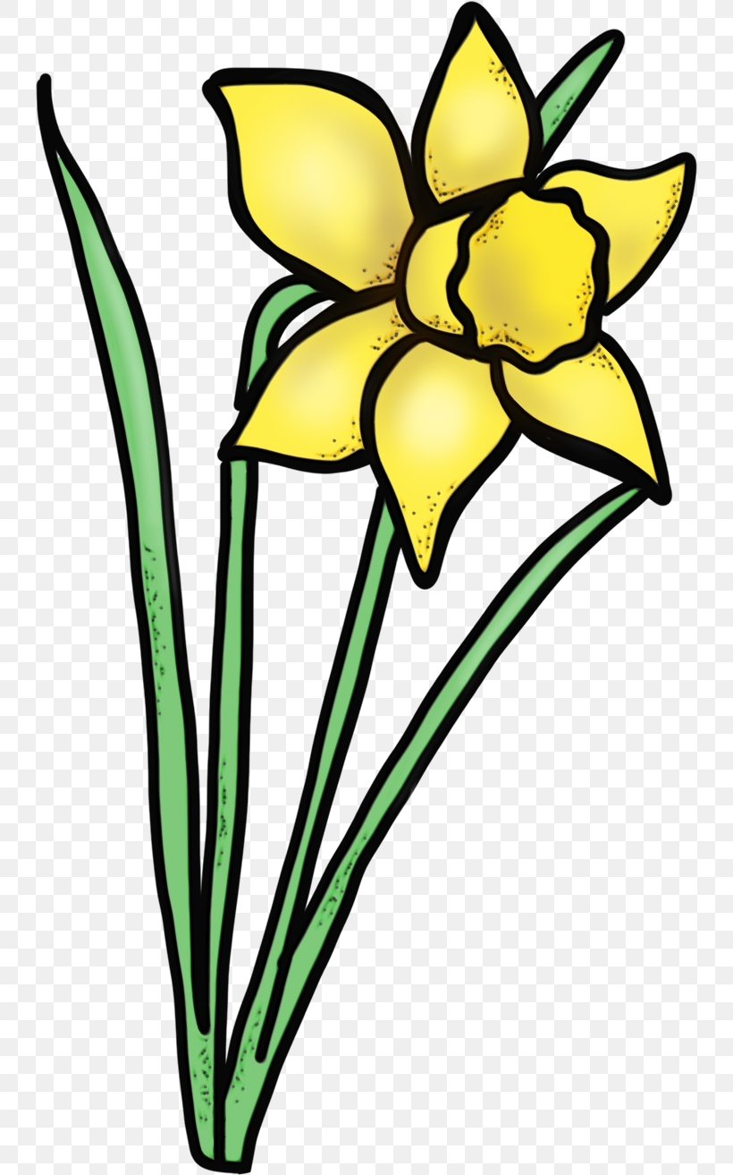 Flower Yellow Clip Art Plant Pedicel, PNG, 741x1313px, Watercolor, Flower, Flowering Plant, Narcissus, Paint Download Free