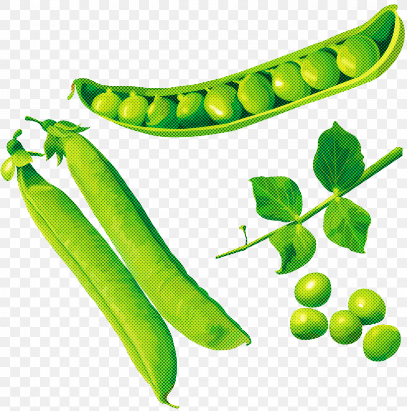 Legume Pea Snow Peas Snap Pea Plant, PNG, 2963x2999px, Legume, Food, Fruit, Legume Family, Pea Download Free
