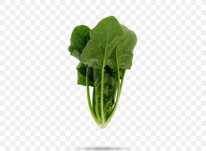 Spinach Leaf Vegetable Food Komatsuna, PNG, 600x600px, Spinach, Cabbage, Chard, Choy Sum, Collard Greens Download Free