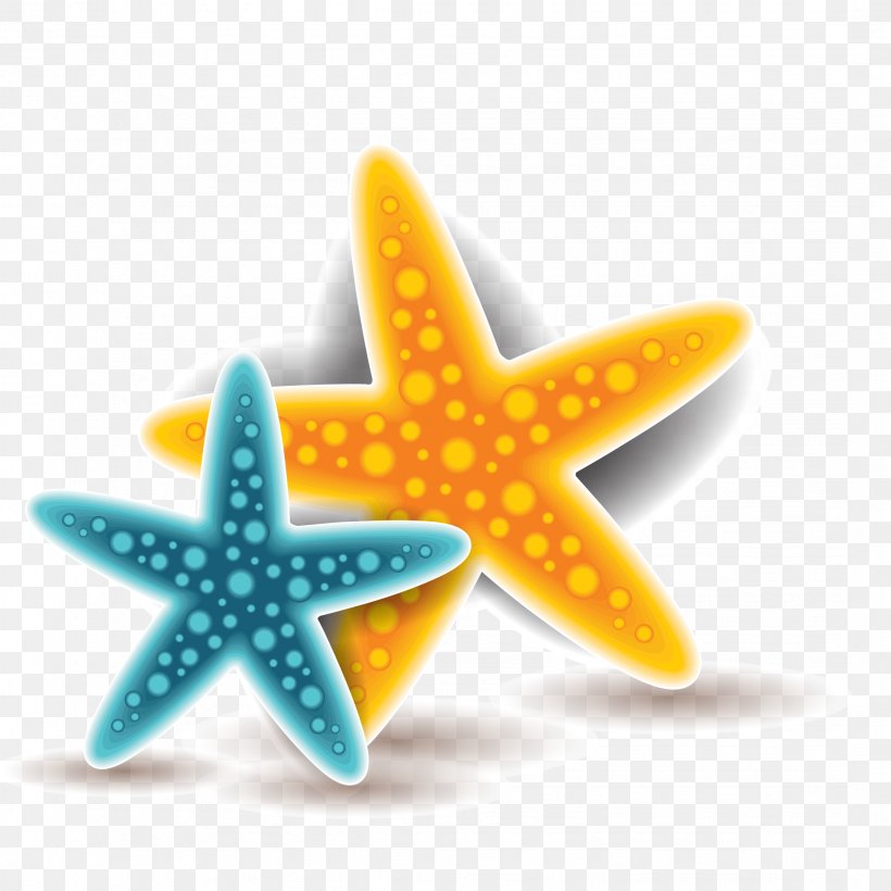 Starfish Euclidean Vector, PNG, 2144x2144px, Starfish, Color, Echinoderm, Gratis, Invertebrate Download Free