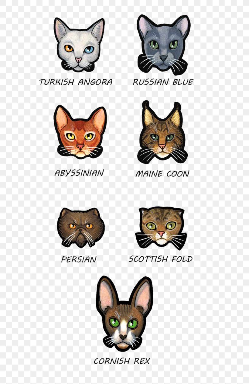 Whiskers Kitten Wildcat Snout, PNG, 632x1264px, Watercolor, Cartoon, Flower, Frame, Heart Download Free