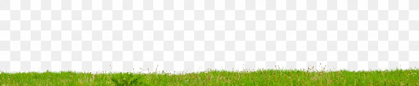Crop Lawn Grassland Land Lot Grasses, PNG, 1920x397px, Crop, Agriculture, Commodity, Family, Field Download Free