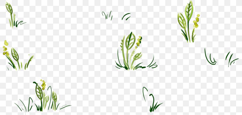 Floral Design Grasses Pattern, PNG, 800x389px, Floral Design, Family, Flora, Flower, Grass Download Free