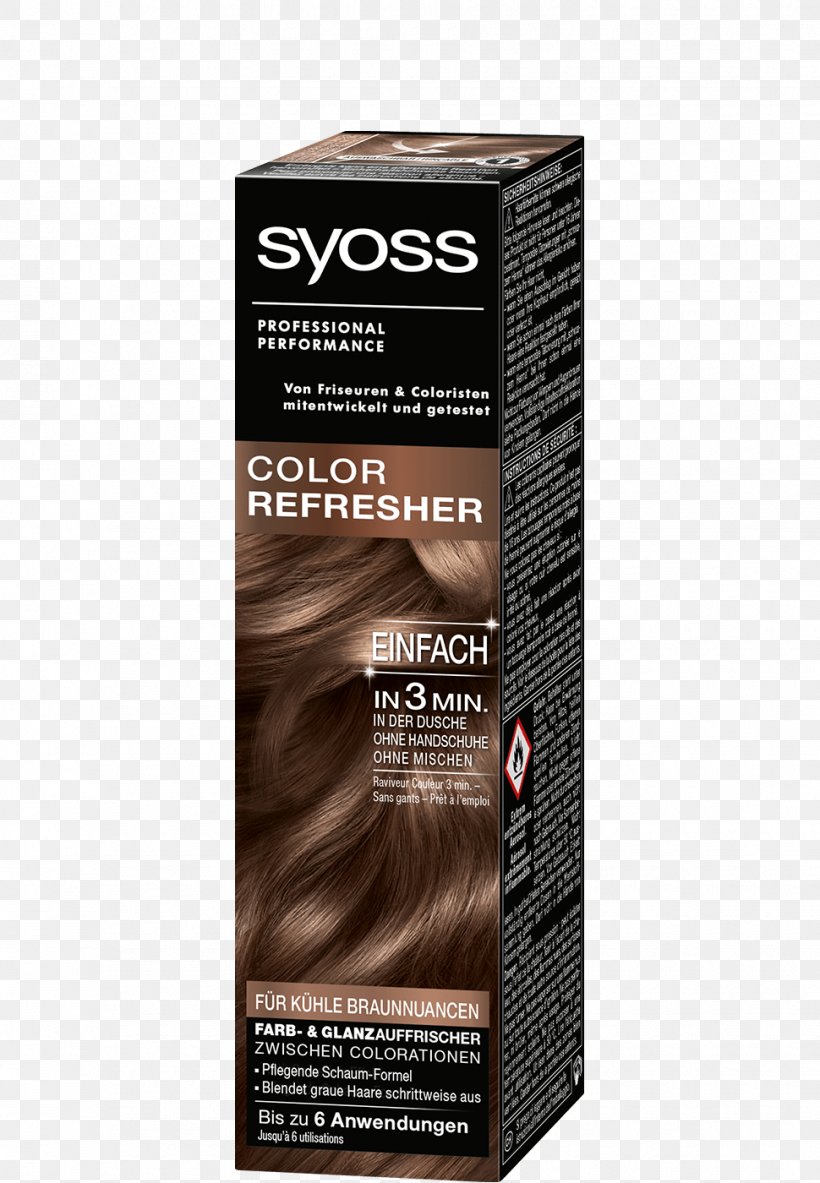 Hair Coloring Human Hair Color Brown Hair, PNG, 970x1400px, Hair Coloring, Blond, Blue Hair, Brown Hair, Color Download Free