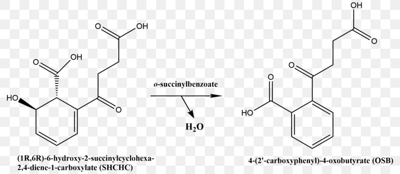 Metabolite KEGG Structure Saquayamycins Disease, PNG, 800x357px, Metabolite, Area, Auto Part, Black And White, Chembl Download Free