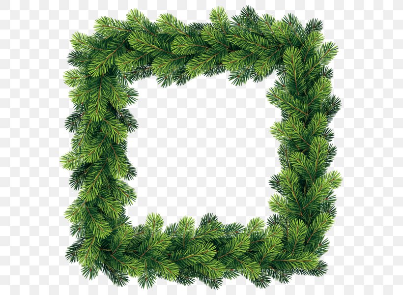 Pine Borders And Frames Clip Art, PNG, 597x600px, Pine, Borders And Frames, Christmas, Christmas Decoration, Conifer Download Free