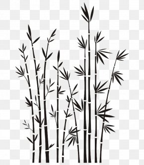 Featured image of post Bamboo Tree Drawing On Wall The best selection of royalty free bamboo tree vector art graphics and stock illustrations