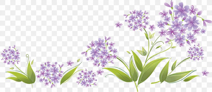 Art Clip Art, PNG, 944x412px, Art, Branch, Can Stock Photo, English Lavender, Flower Download Free