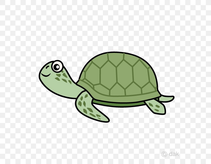Sea Turtle Reptile Tortoise Illustration, PNG, 640x640px, Sea Turtle, Box Turtles, Cartoon, Emydidae, Fauna Download Free