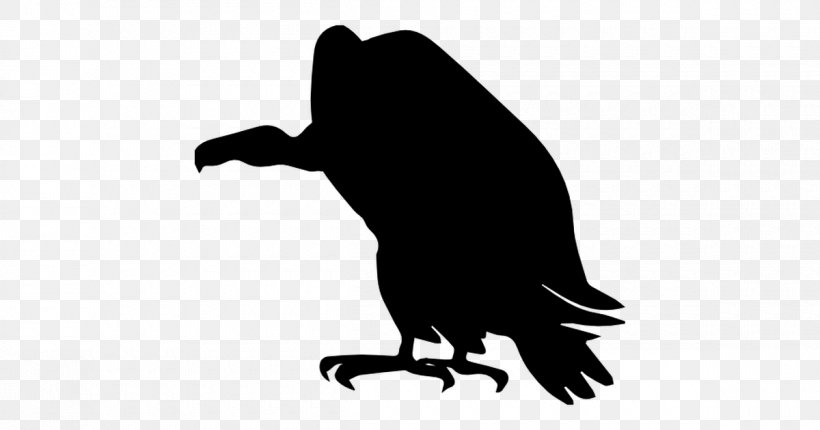 Vulture Silhouette Clip Art, PNG, 1200x630px, Vulture, Bald Eagle, Beak, Bird, Bird Of Prey Download Free