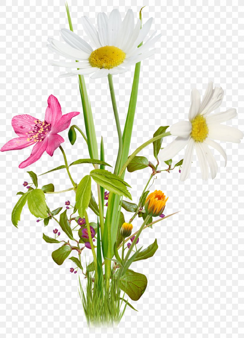 Download Clip Art, PNG, 911x1261px, 3d Computer Graphics, Computer Graphics, Annual Plant, Banco De Imagens, Cut Flowers Download Free