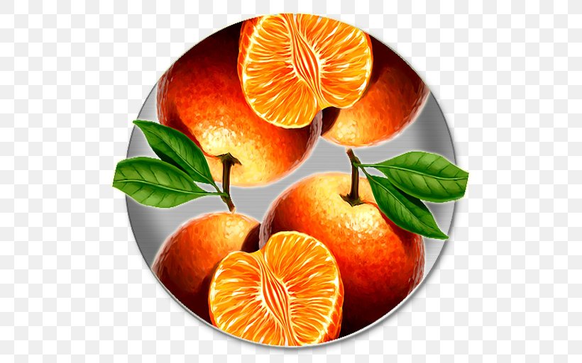 Mandarin Orange Tangerine Blood Orange Grapefruit Bitter Orange, PNG, 512x512px, Mandarin Orange, Bitter Orange, Blood Orange, Citrus, Clementine Download Free