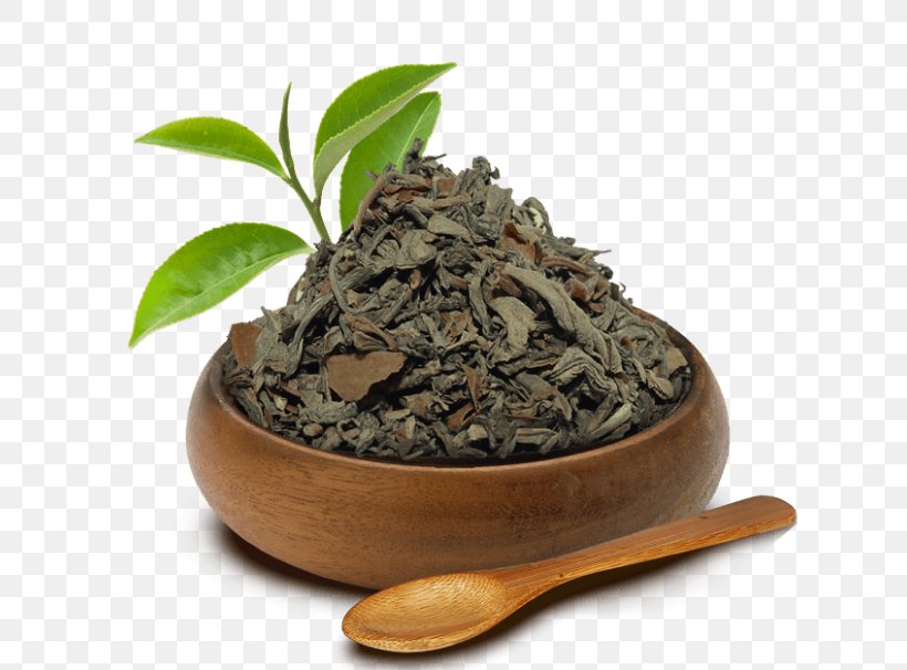 Nilgiri Tea Hōjicha Darjeeling Tea Green Tea, PNG, 700x606px, Nilgiri Tea, Assam Tea, Bai Mudan, Bancha, Biluochun Download Free