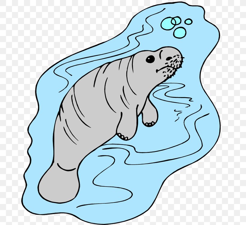 West Indian Manatee African Manatee Coloring Book Clip Art, PNG, 700x750px, West Indian Manatee, African Manatee, Animal Figure, Area, Art Download Free