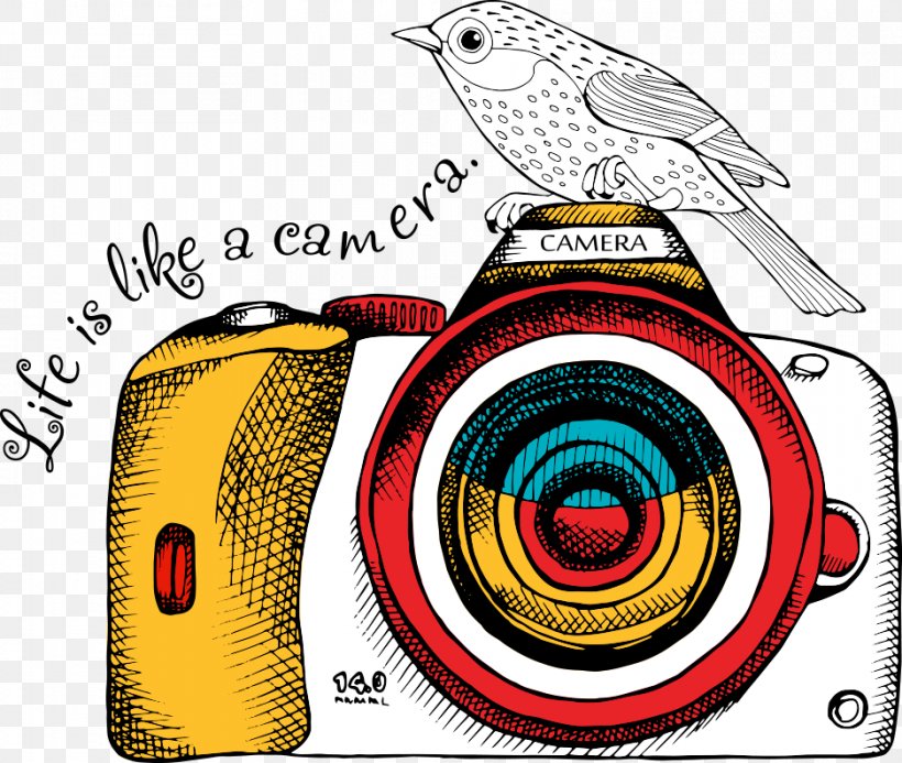 Digital camera with inverted image illustration  Stock Image  C0508290   Science Photo Library