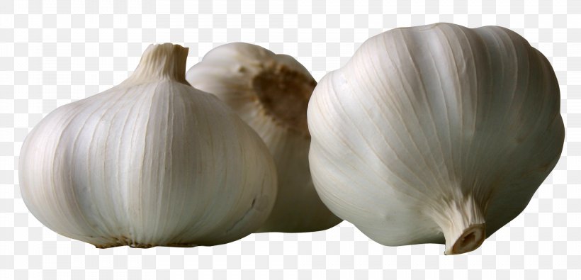 Garlic Vegetable Condiment, PNG, 1968x948px, Garlic, Barbecue, Capsicum Annuum, Clove, Condiment Download Free
