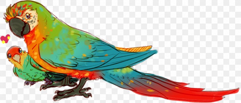Macaw Parakeet Bird Loriini Feather, PNG, 909x388px, Macaw, Animal, Animal Figure, Art, Beak Download Free