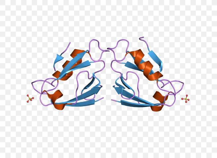 MAGI1 Membrane-associated Guanylate Kinase PDZ Domain Glasses, PNG, 800x600px, Watercolor, Cartoon, Flower, Frame, Heart Download Free