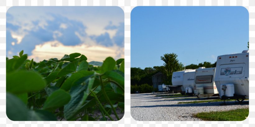 Mark Twain Lake Hannibal Mark Twain Landing Big Larry's Campground, PNG, 1024x512px, Hannibal, Boat, Brand, Campsite, Door Download Free