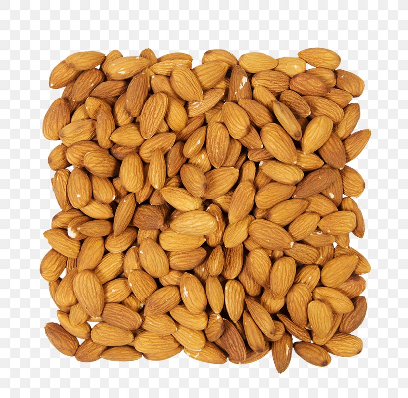 Peanut Cereal Germ Commodity Embryo, PNG, 800x800px, Nut, Cereal Germ, Commodity, Embryo, Food Download Free