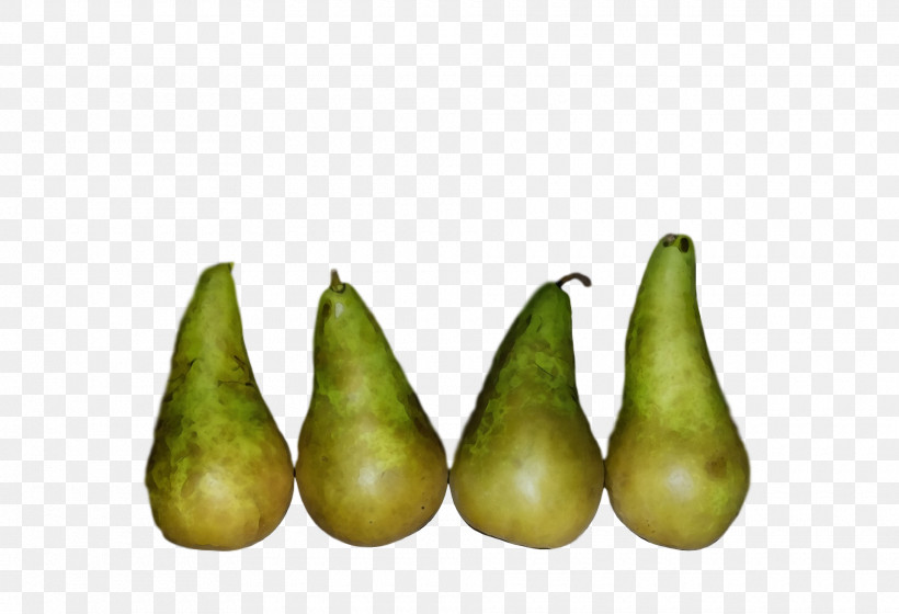 Pear Vegetable Fahrenheit, PNG, 1920x1312px, Watercolor, Fahrenheit, Paint, Pear, Vegetable Download Free