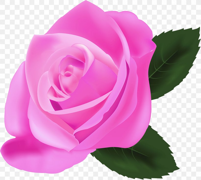 Rose Pink Flowers Photorealism, PNG, 1200x1075px, Rose, Art, China Rose, Close Up, Cut Flowers Download Free