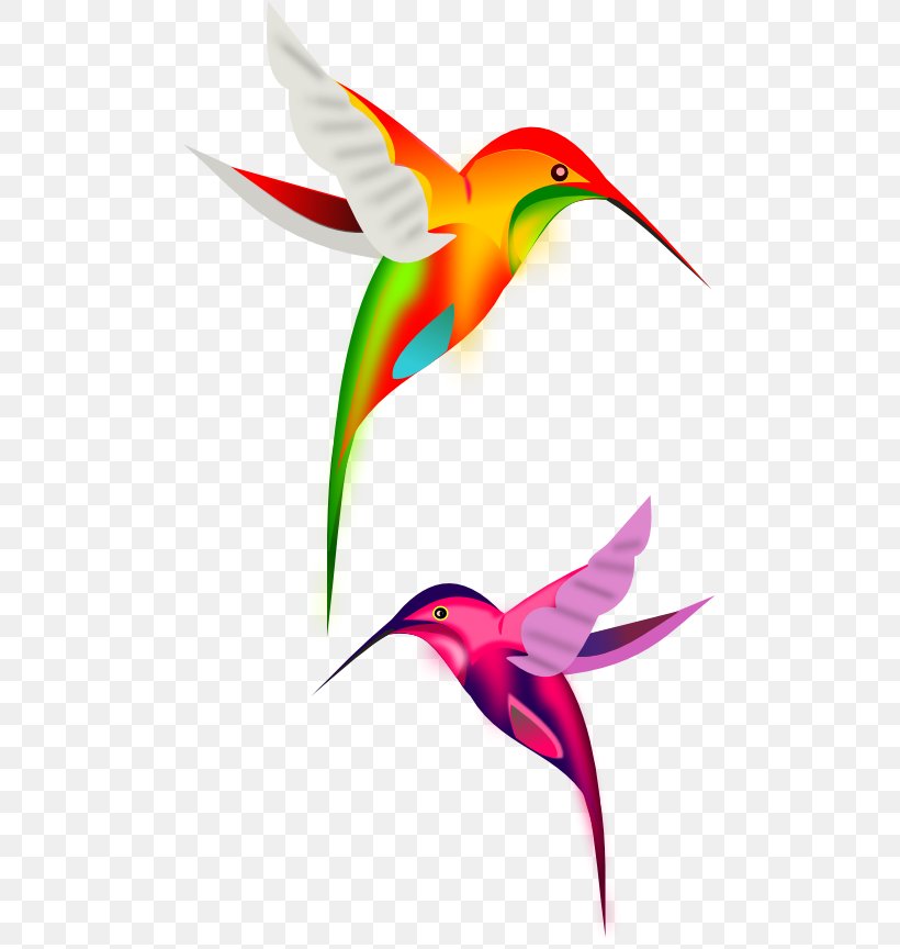 Bird Clip Art, PNG, 485x864px, Bird, Animation, Beak, Bird Flight, Document Download Free
