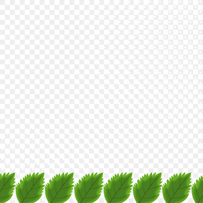 Leaf Green M-tree Font Line, PNG, 1440x1440px, Leaf, Biology, Green, Line, Meter Download Free