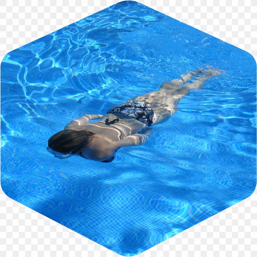 Swimming Pool Hotel Toronto Pan Am Sports Centre Hot Tub, PNG, 960x960px, Swimming Pool, Aqua, Hot Tub, Hotel, Marine Mammal Download Free