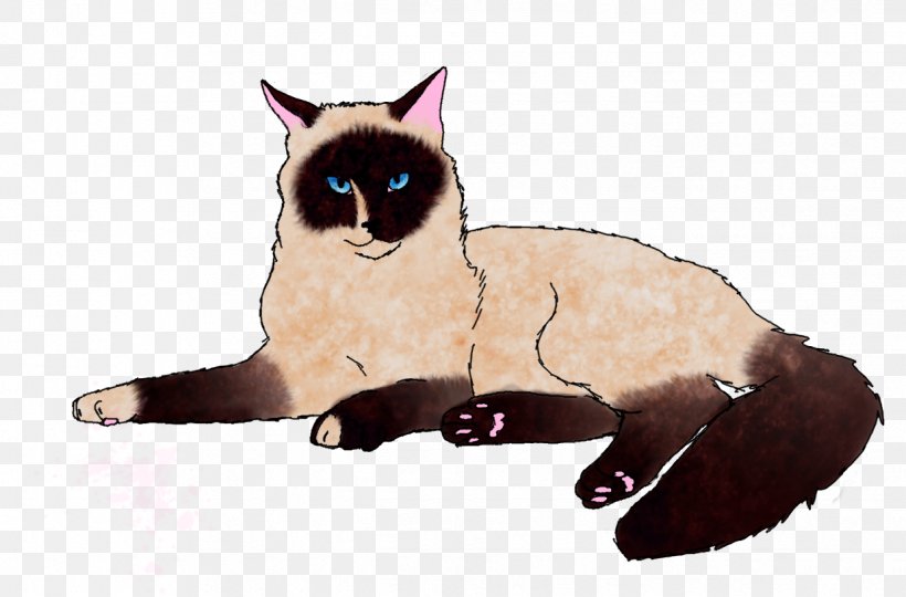 Whiskers Balinese Cat Kitten Domestic Short-haired Cat, PNG, 1238x816px, Whiskers, Balinese, Balinese Cat, Carnivoran, Cartoon Download Free