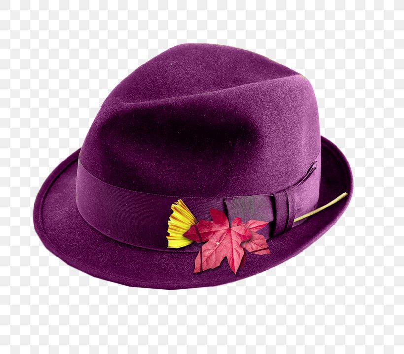 Hat Purple Clip Art, PNG, 800x719px, Hat, Fashion Accessory, Fedora, Headgear, Magenta Download Free