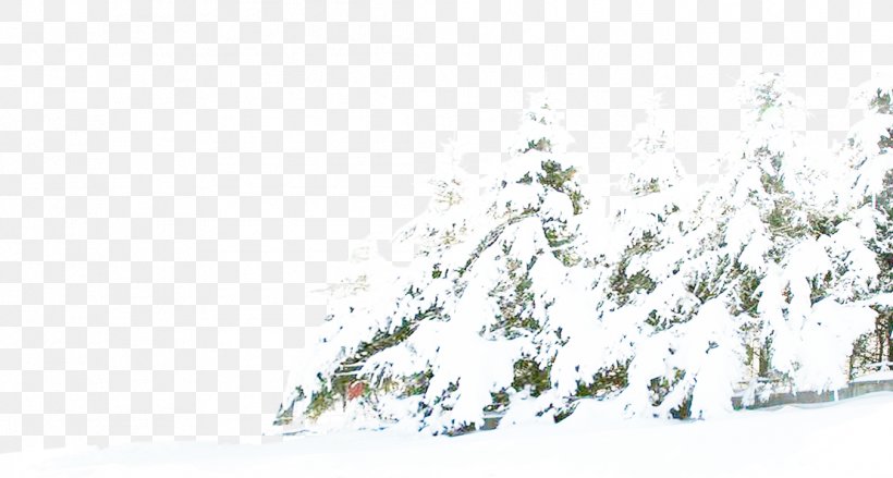 Pine Winter Snow Tree, PNG, 1109x595px, Pine, Branch, Pinaceae, Pixel, Poster Download Free