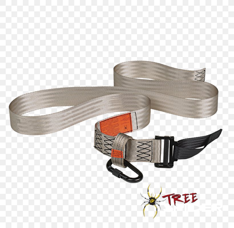 Spider Strap Tree Stands Carabiner, PNG, 800x800px, Spider, Belt, Buckle, Carabiner, Climbing Download Free