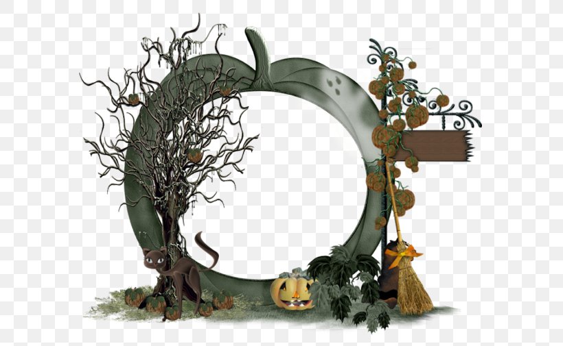 Picture Frames Halloween Film Series YouTube, PNG, 595x505px, Picture Frames, Breed, Computer, Halloween, Halloween Film Series Download Free