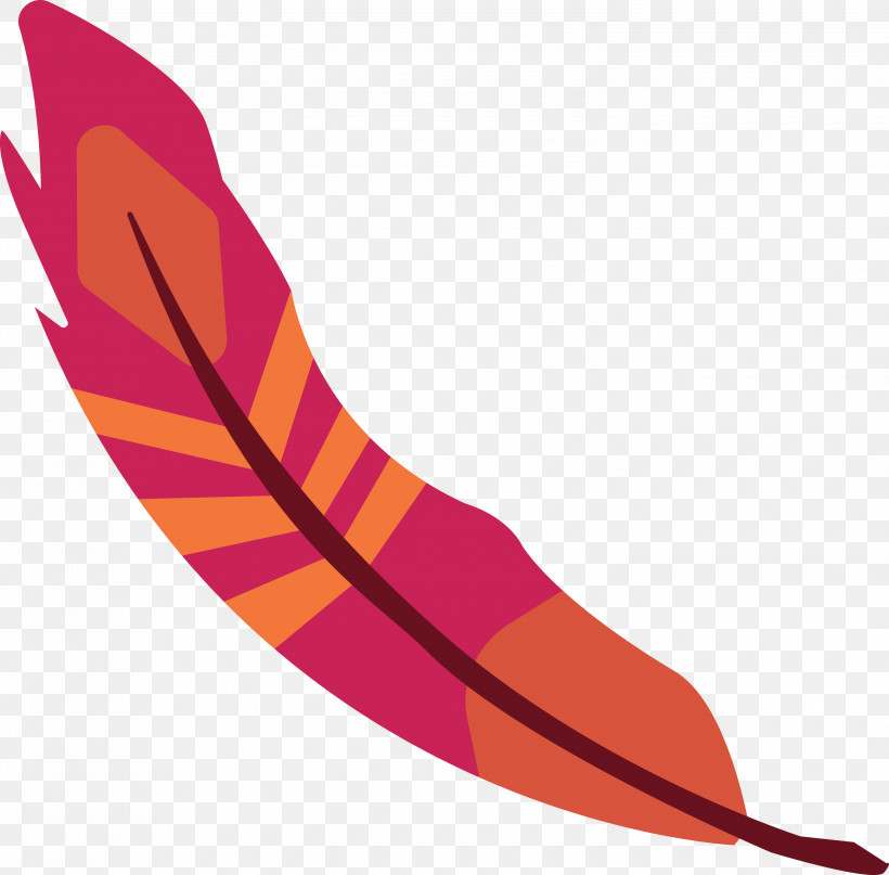 Feather, PNG, 3000x2955px, Cartoon Feather, Feather, Line, Meter, Orange Sa Download Free