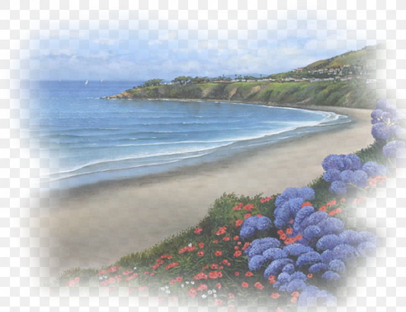Landscape Sea Nature Desktop Wallpaper, PNG, 980x755px, Landscape, Animated Film, Bay, Beach, Blog Download Free